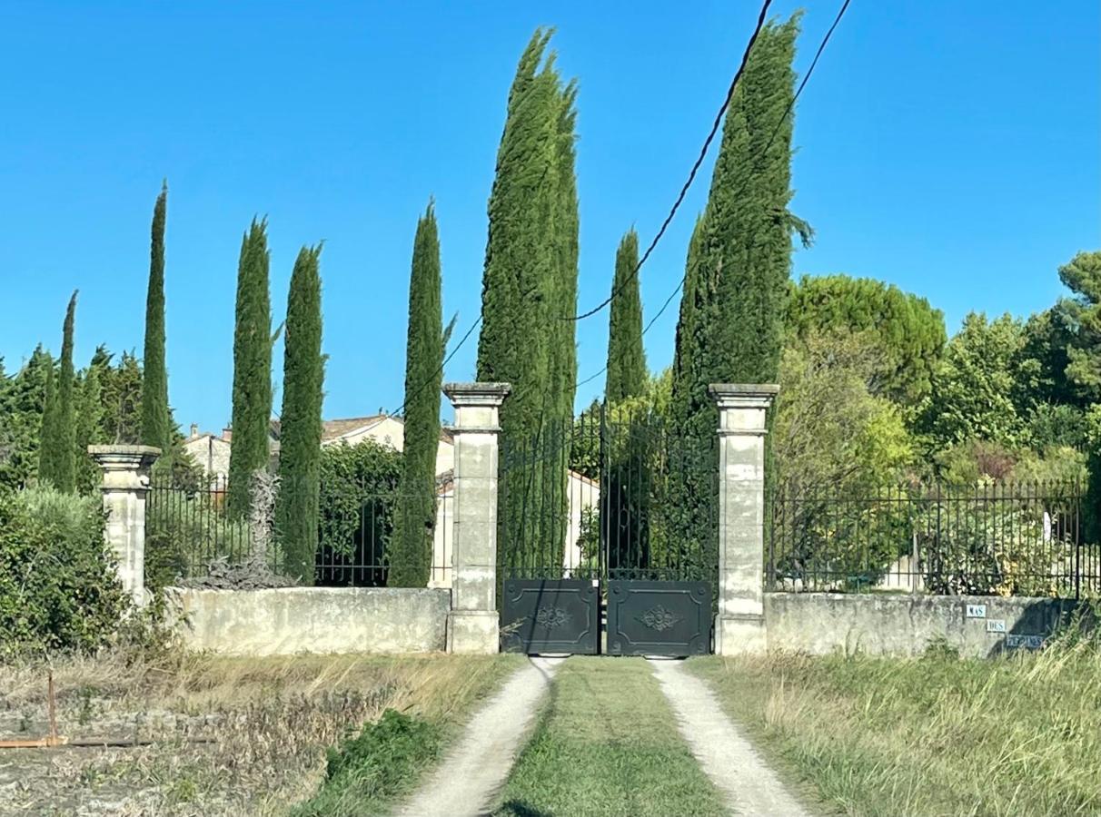 Le Mas Des Perrines Maison D'Hotes Pernes-les-Fontaines Bagian luar foto
