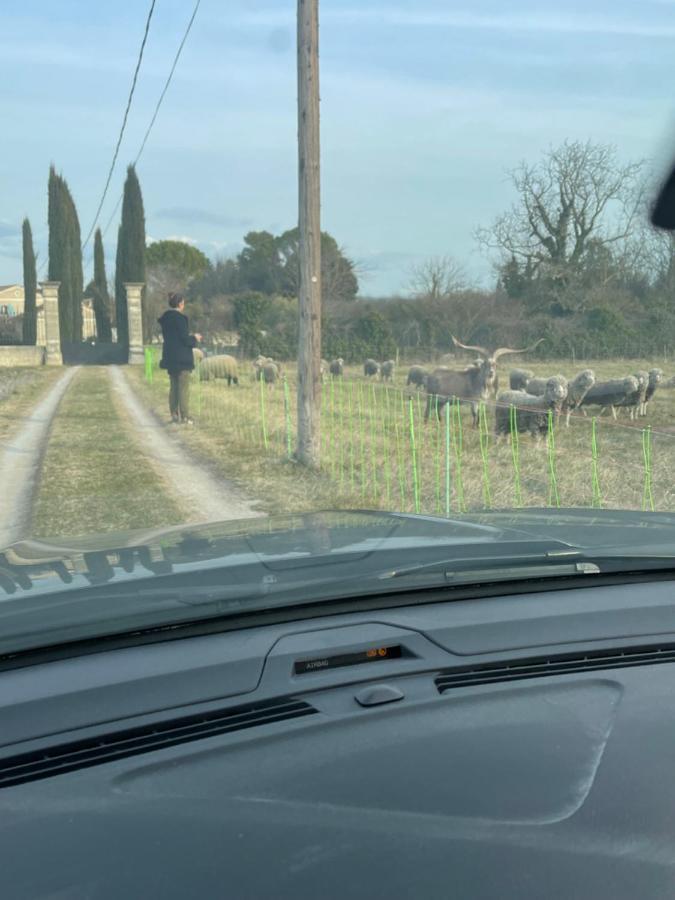 Le Mas Des Perrines Maison D'Hotes Pernes-les-Fontaines Bagian luar foto