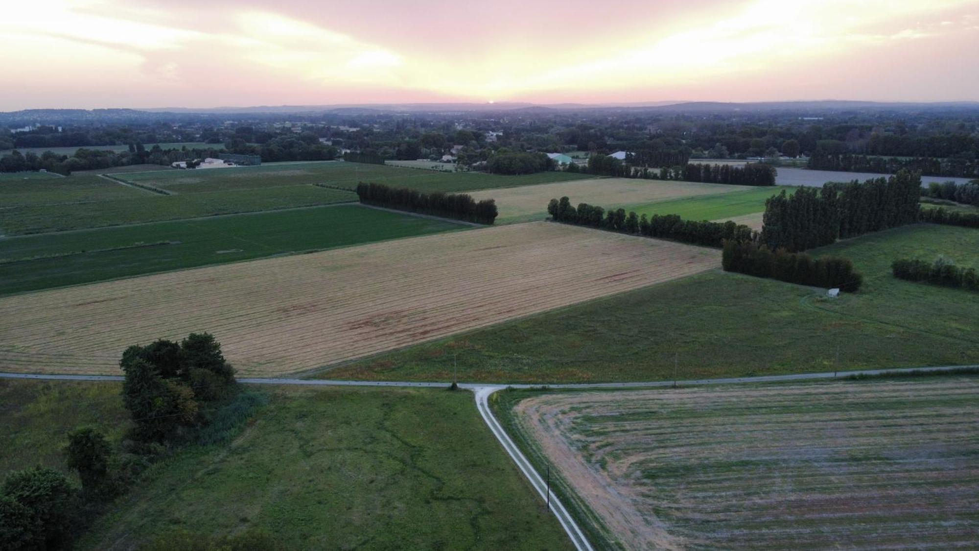 Le Mas Des Perrines Maison D'Hotes Pernes-les-Fontaines Bagian luar foto